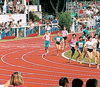 Sportplätze und Sportplatzwartung